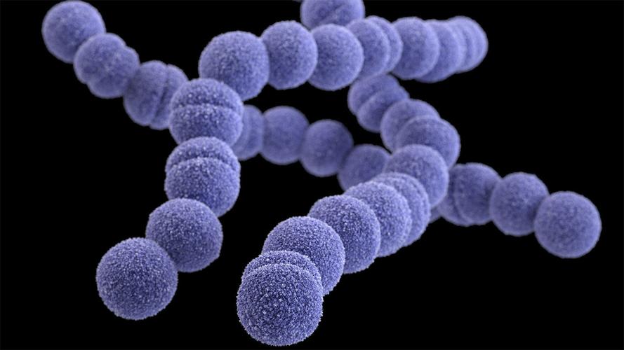 CDC investigating apparent rise in strep A infections in children