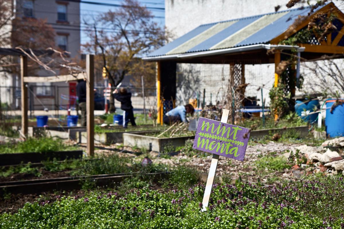 Yes You Can Go To Your Community Garden City Deems Farms