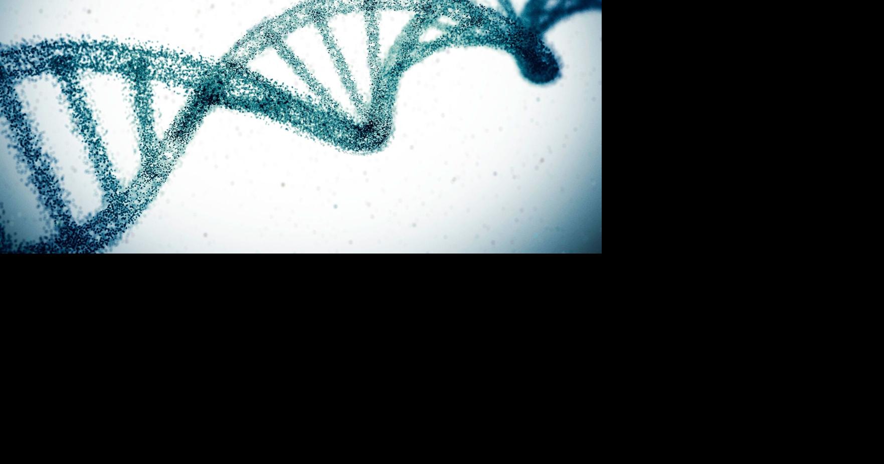 A one-time gene snip may help erase high cholesterol for life