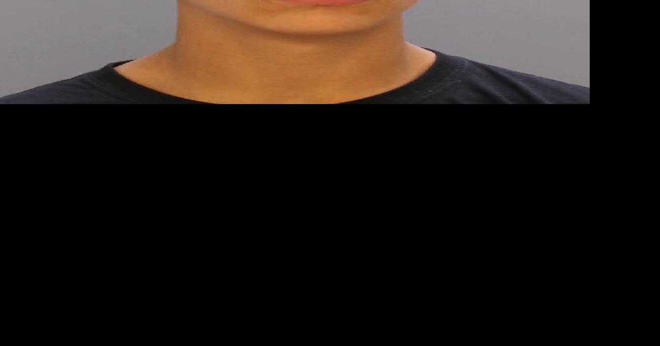 2 teens plead guilty to fatally beating homeless man | Metros ...