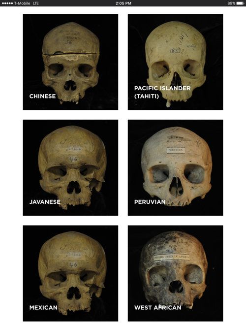 Panel Discussion Examines Race Through The Lens Of Science Lifestyle Phillytrib Com