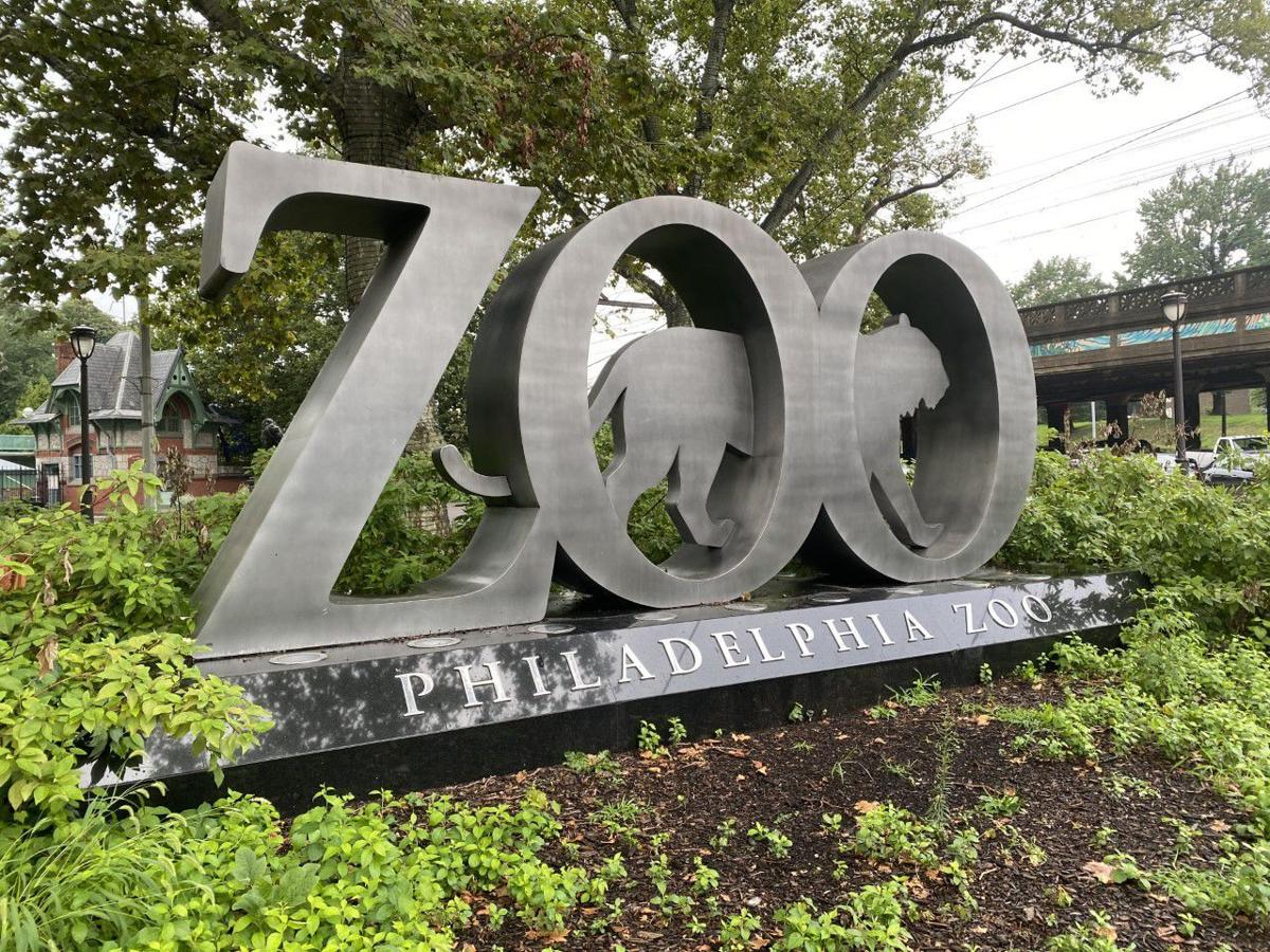 Philadelphia Zoo adjusts to pandemic as finances take a big hit