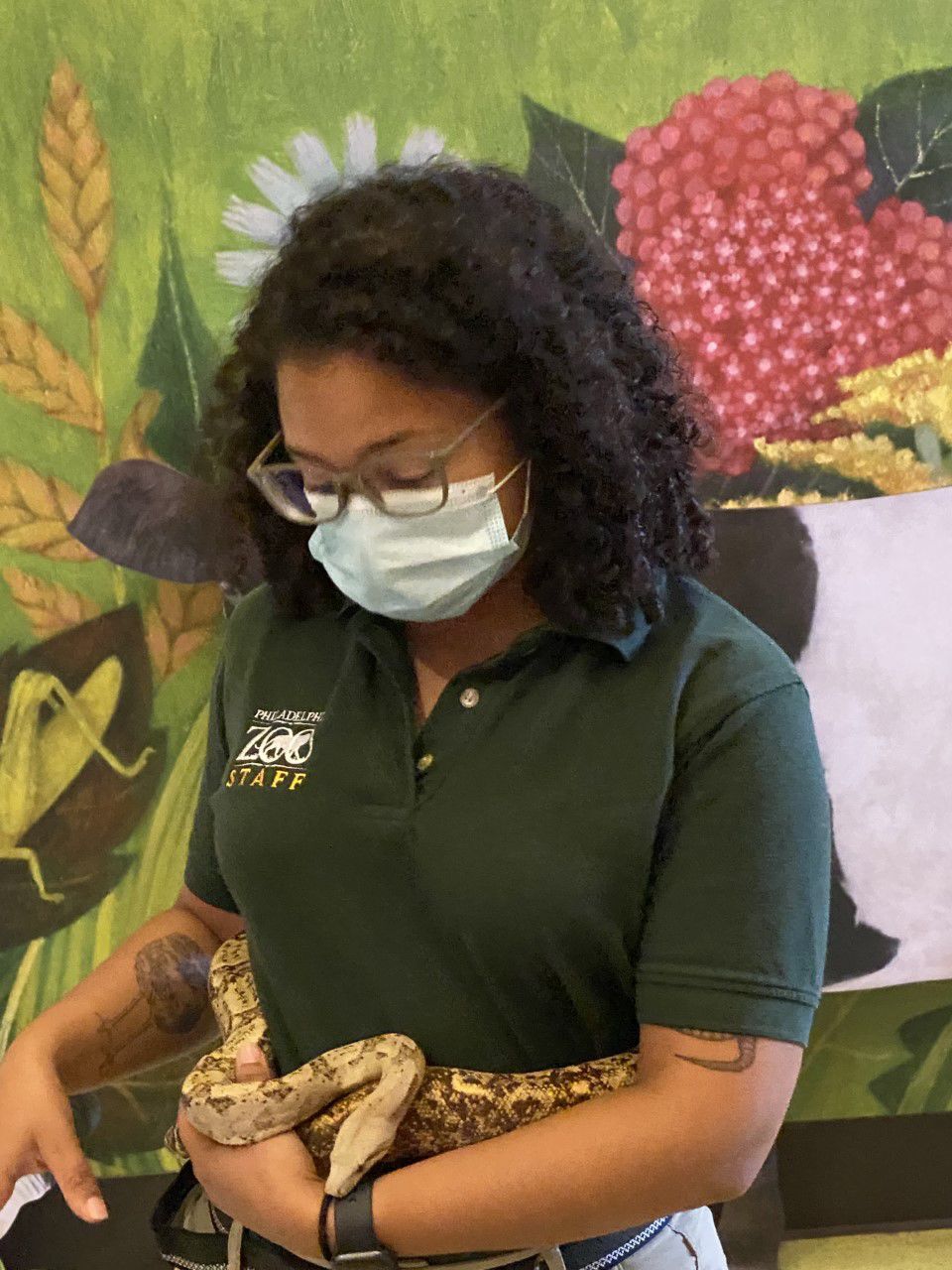 26++ Philadelphia zoo summer camp 2018 Tips