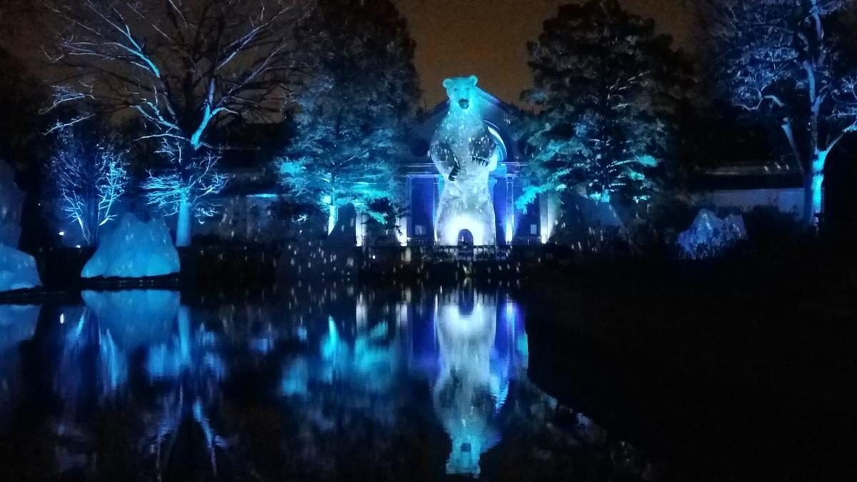 LumiNature lights up the Philadelphia Zoo for the holidays
