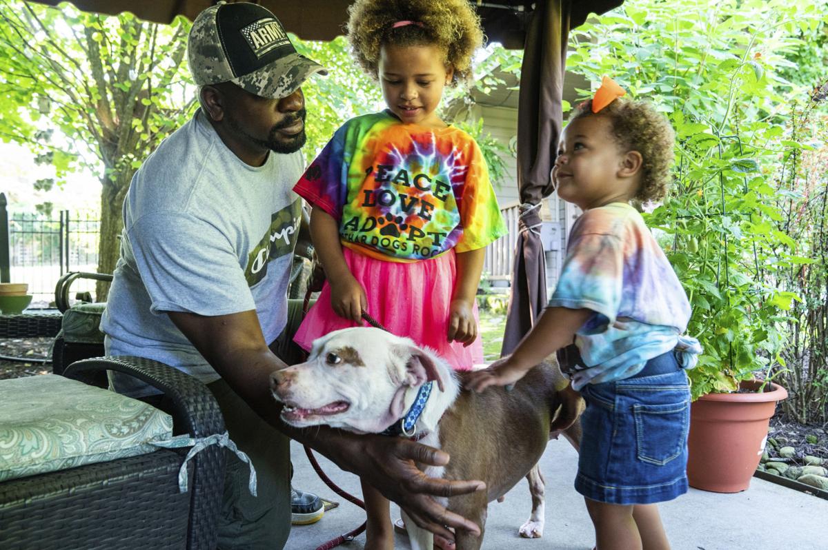 Ex-soldier finds peace fostering pets, finding them homes ...