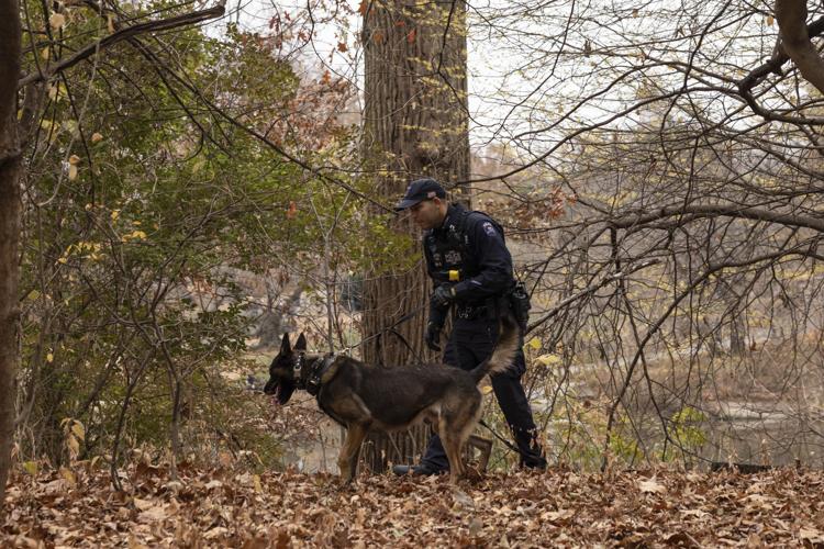 Man arrested with weapon 'consistent with' gun in killing of ...