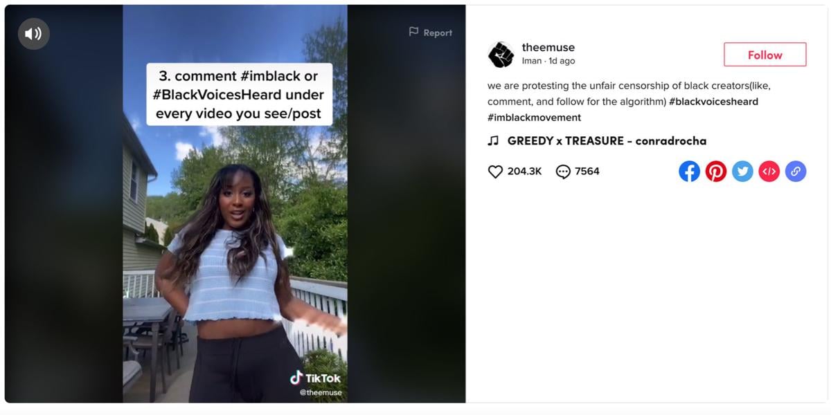 The Black Lives Matter Fist On Tiktok
