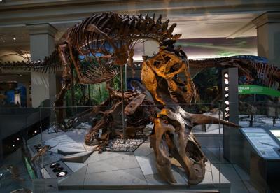 smithsonian tyrannosaurus rex