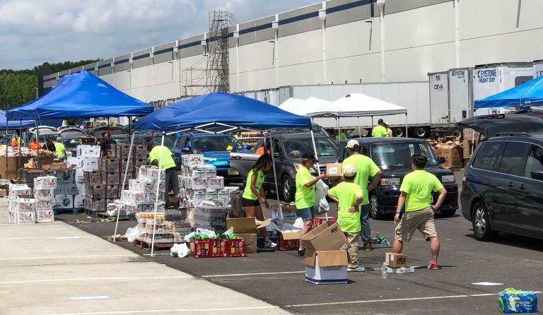 Seafood 'gleaning' program for food insecure begins in N.J. - WHYY