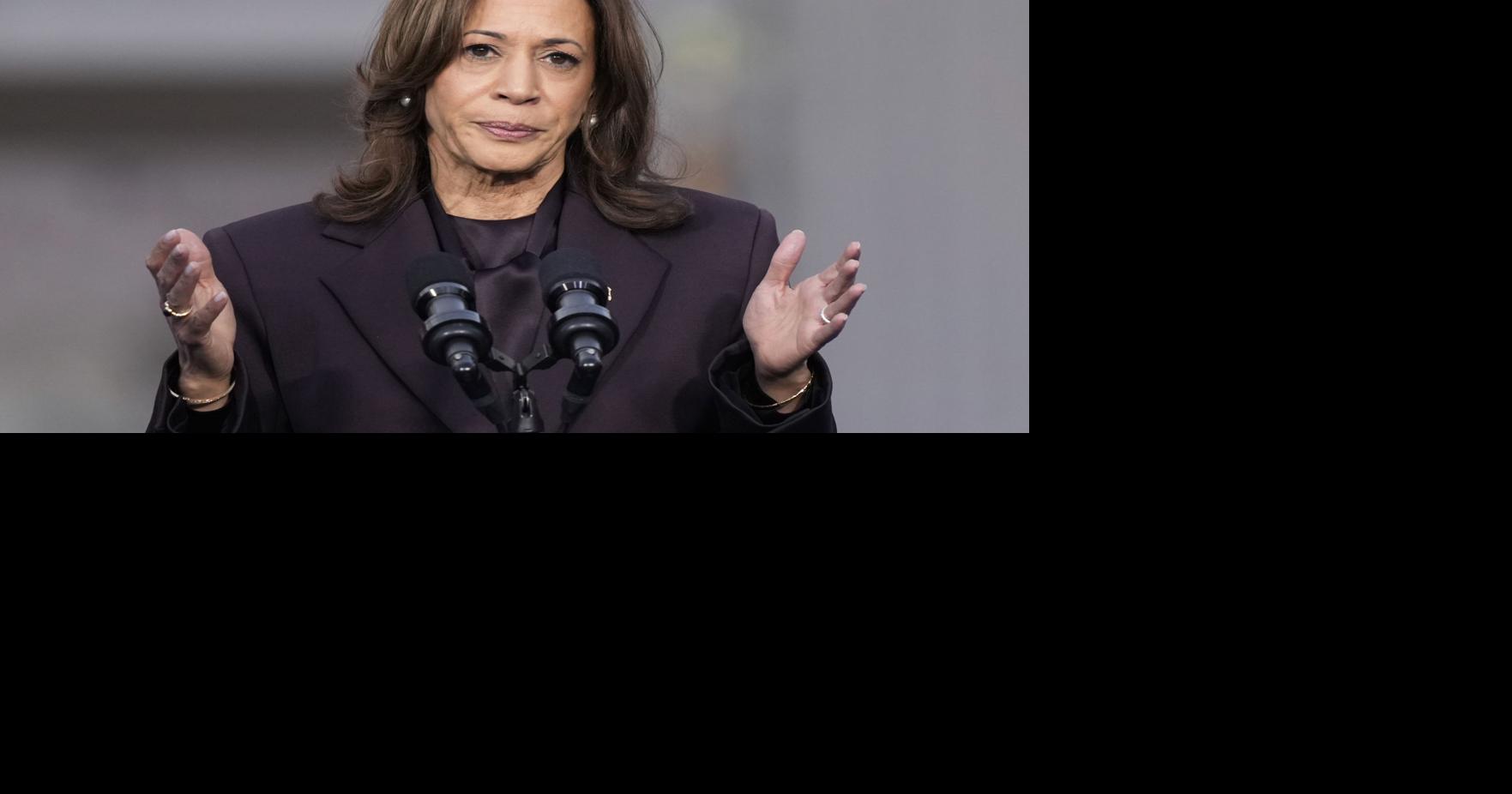 Disputed Democratic autopsy of 2024 loss says White House failed Harris