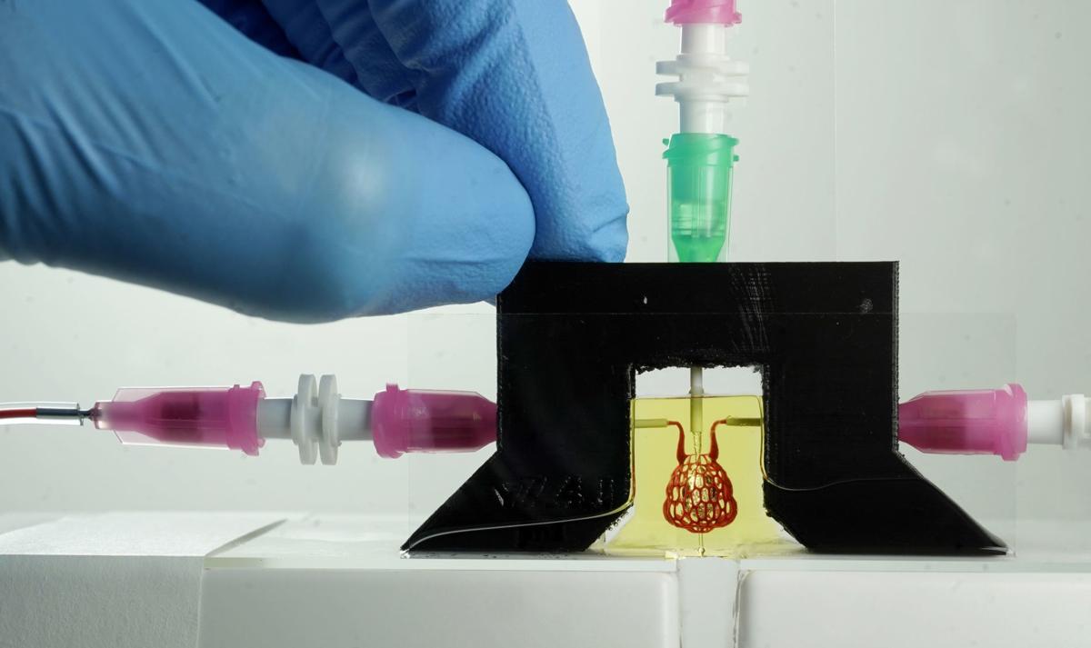 Rice University Researchers Able To 3d Print Living Tissue Health Phillytrib Com