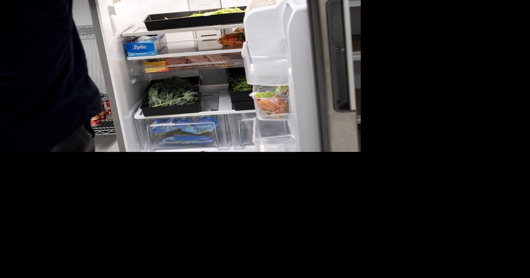 How long is it safe to leave food out? The 2hour rule, explained