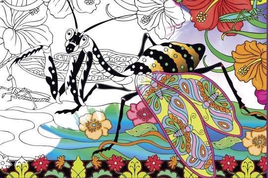 Trendy but calm: Adult coloring books selling like crazy