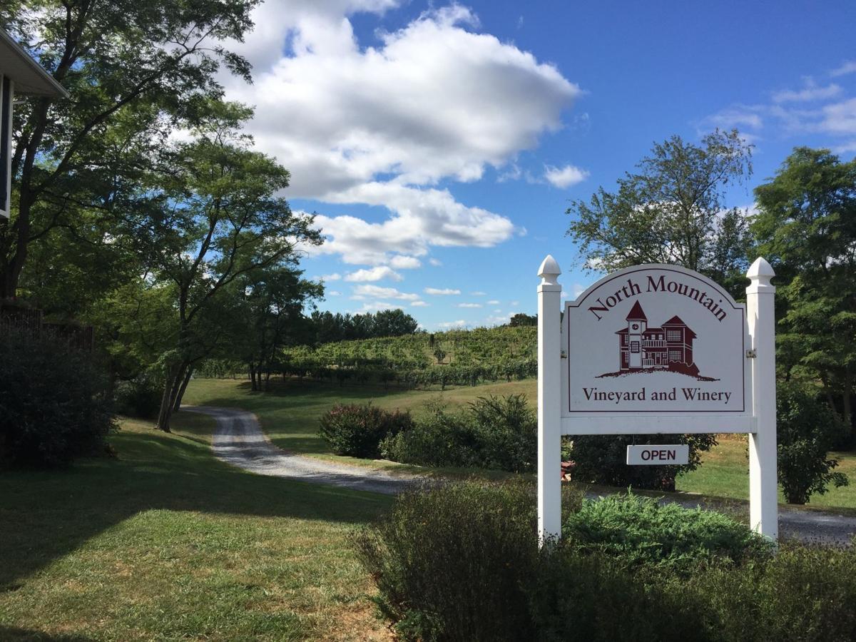 Shenandoah Valley wineries are an allure in Virginia Lifestyle