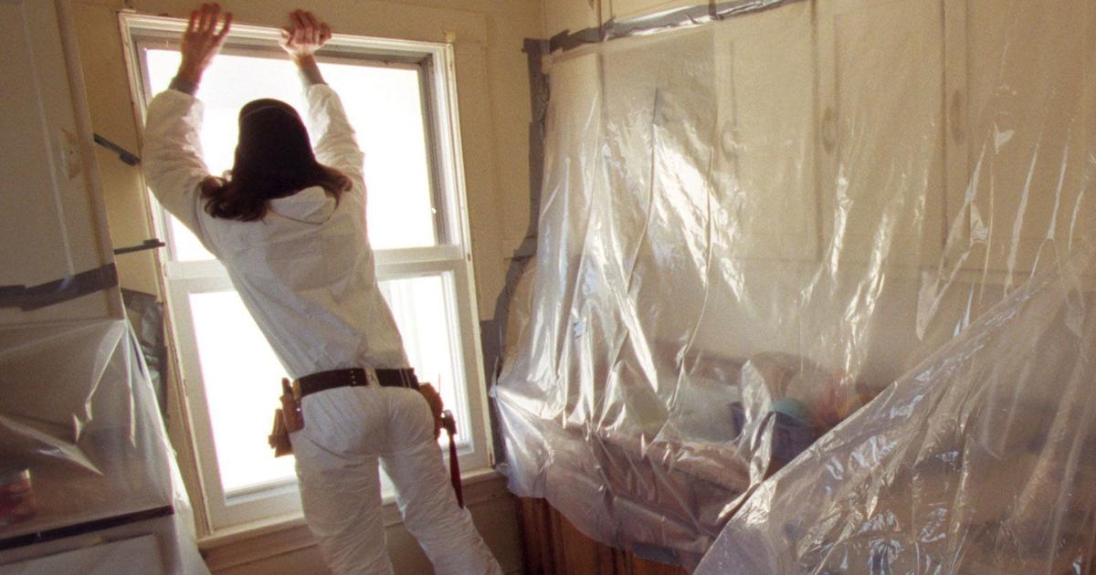 New Regulations Established to Combat Lead Paint Dust Hazards in Homes and Child-Care Centers New Regulations Established to Combat Lead Paint Dust Hazards in Homes and Child-Care Centers