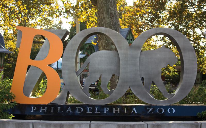 The Biggest Events & Festivals in Philly in 2023 & 2024 — Visit Philadelphia