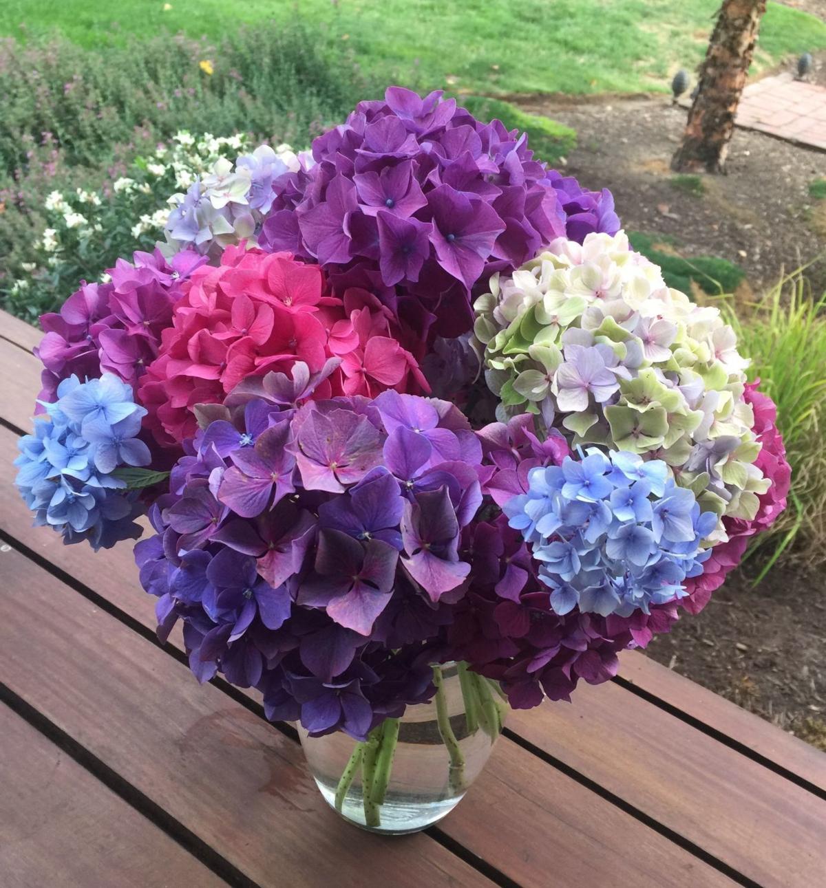 Flowers looking tired? How to extend their vase life Lifestyle