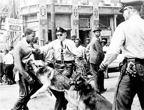 civil rights marches dogs