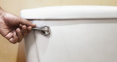 Toilet Flushing