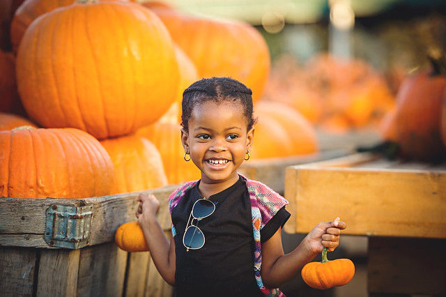 pumpkin patch in philadelphia