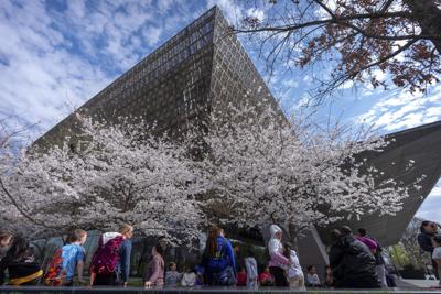 Smithsonian Black Museum Artifacts