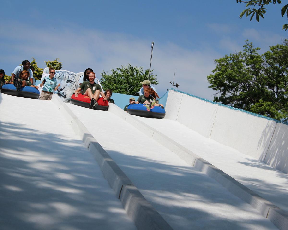 Philadelphia Zoo Newest Exhibit Brings Winter Fun Lifestyle