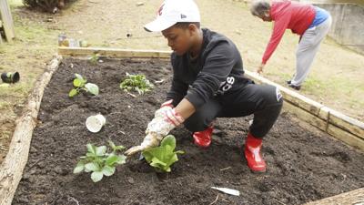 Feed The Soul In Chaotic Times Gardening Becomes Therapy