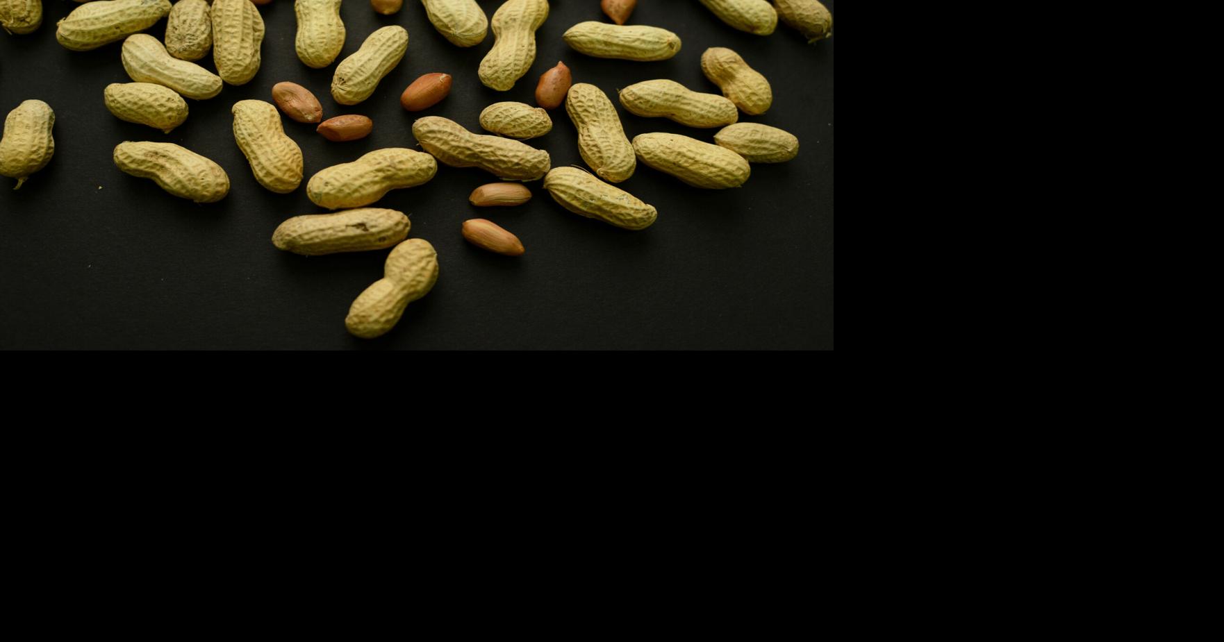 Advice to feed babies peanuts early and often helped thousands of kids avoid allergies