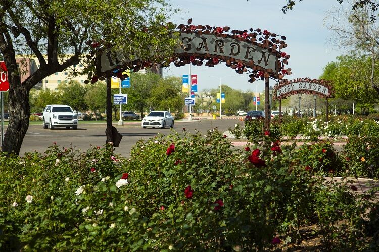 Come. Enjoy. Thrive': MCC Rose Garden marks 25th anniversary