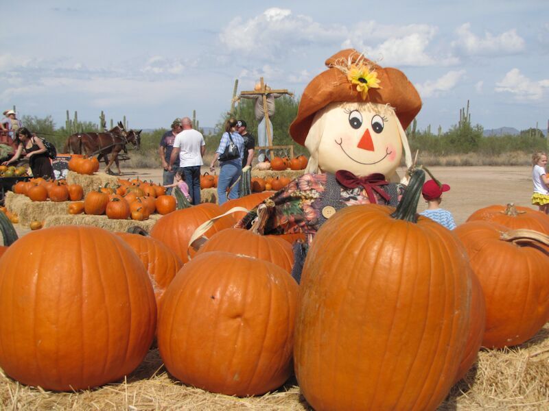 LIST: Pumpkin Patches in the valley