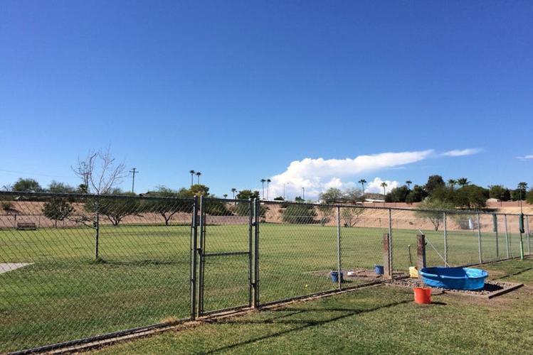10 canineapproved Phoenix dog parks Guides