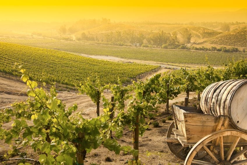 Arizona wine trails you didn't know existed | Attractions