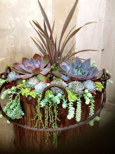 Dirt Therapy: Designing with Succulents as Easy as 1, 2, 3 | |  picketfencemedia.com