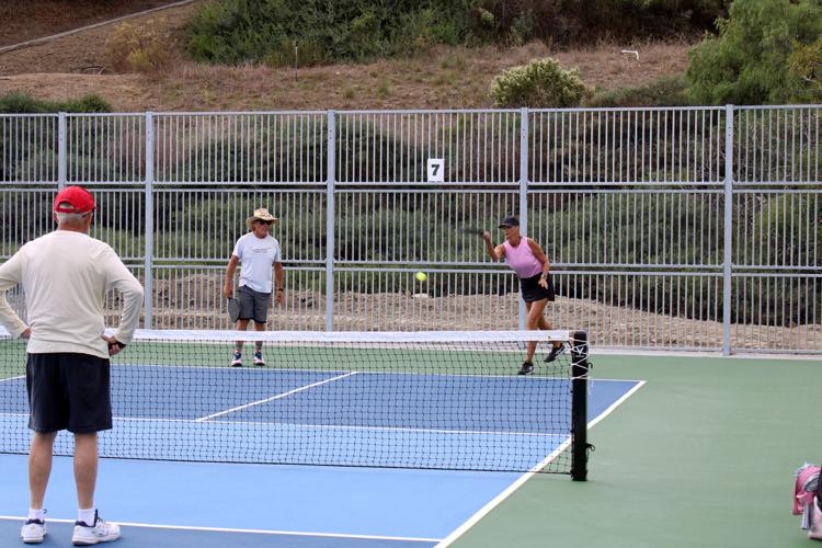 City Opens Temporary Pickleball Facility at Steed Park Eye on SC