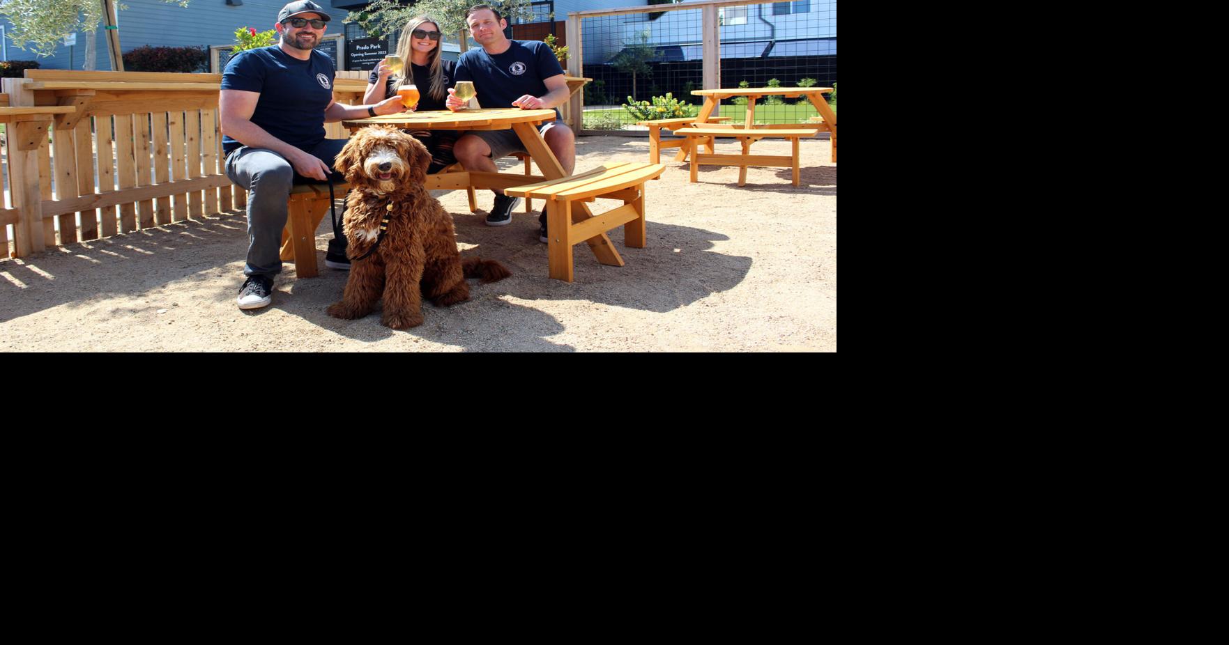Pints & Pups Dana Point Ale House Celebrates New DogFriendly Beer