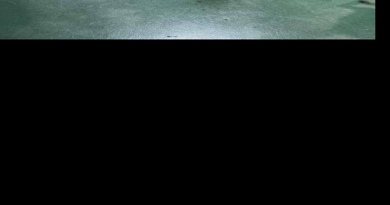 Zuri Pet Spa Expands with Rancho Mission Viejo Location Eye on SJC