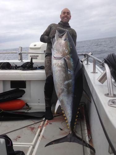 spearfishing bigeye tuna｜TikTok Search