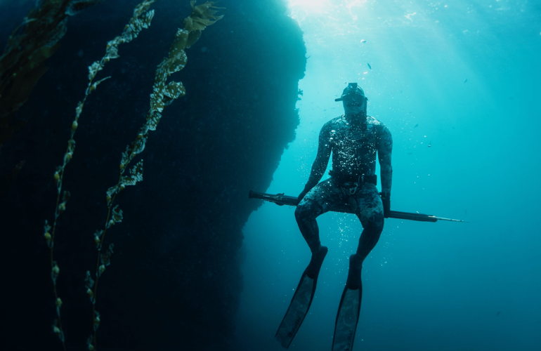 Deep-Sea-Dive Tidying Festival main image 1