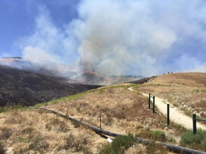 Update: Firefighters Extinguish 14-acre Vegetation Fire in San Juan ...