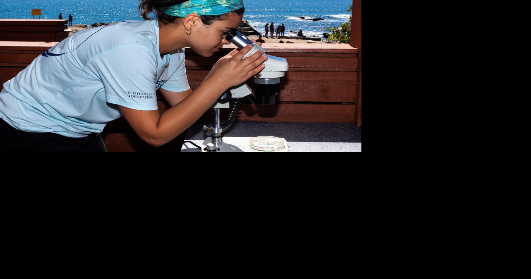 Annual Ocean Institute Conference Connects Students with Women in Ocean ...
