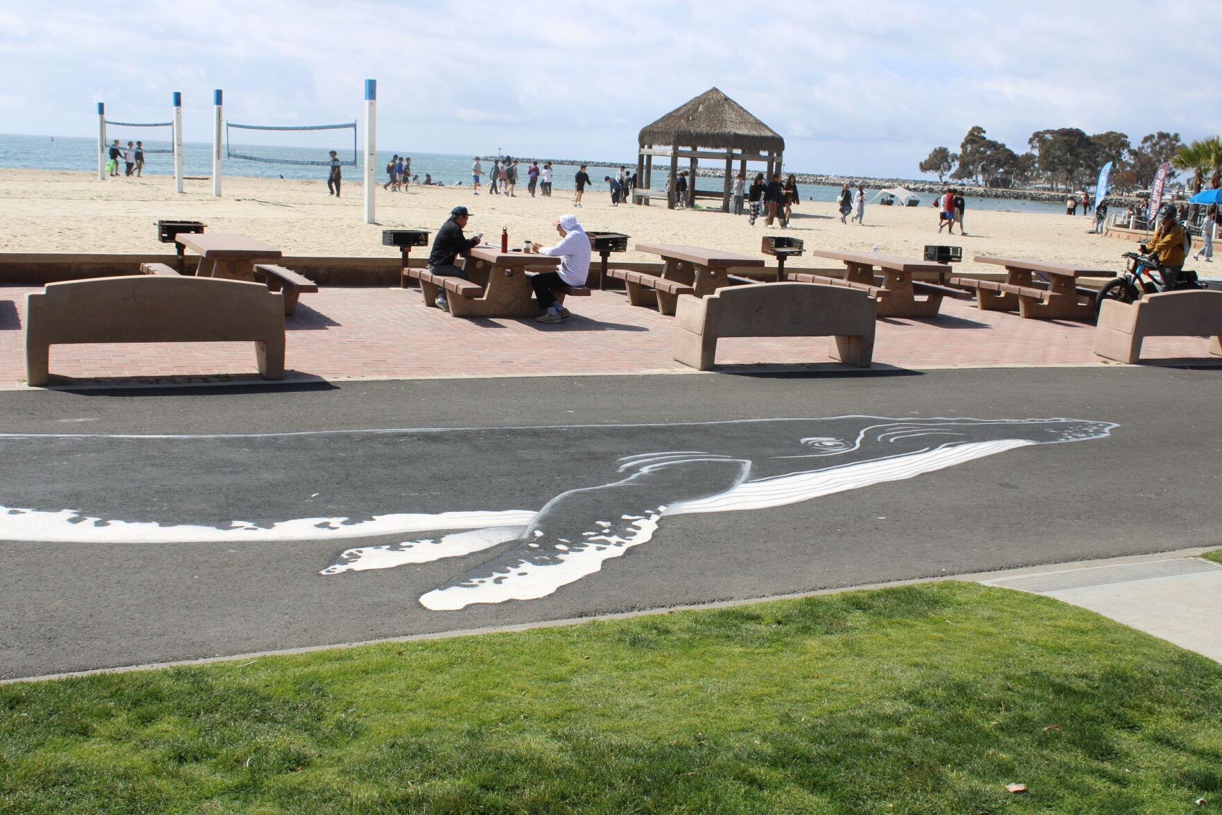 Doheny Beach ‘Whale Walk’ Returns to Vibrant Life Eye on DP