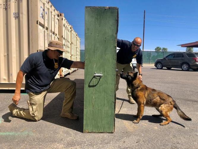 Border Patrol canine instructors train new Yuma Sheriff's Office dog