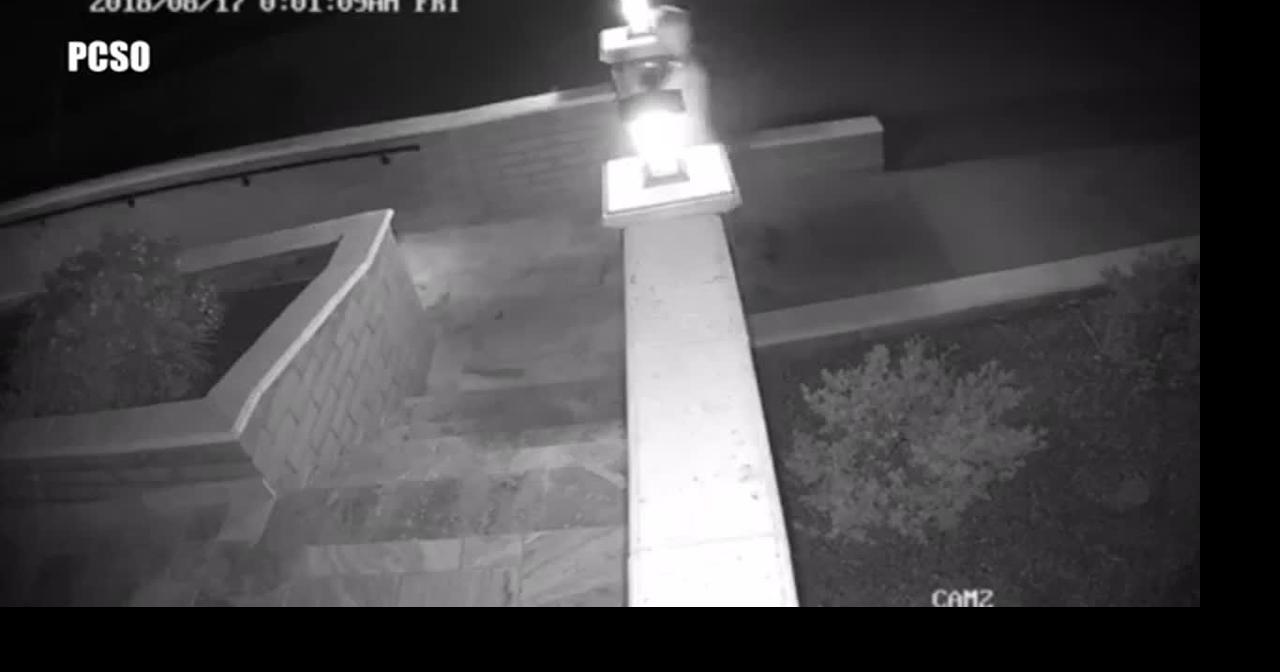 Video: Naked man caught on camera burglarizing Florence home | News ...