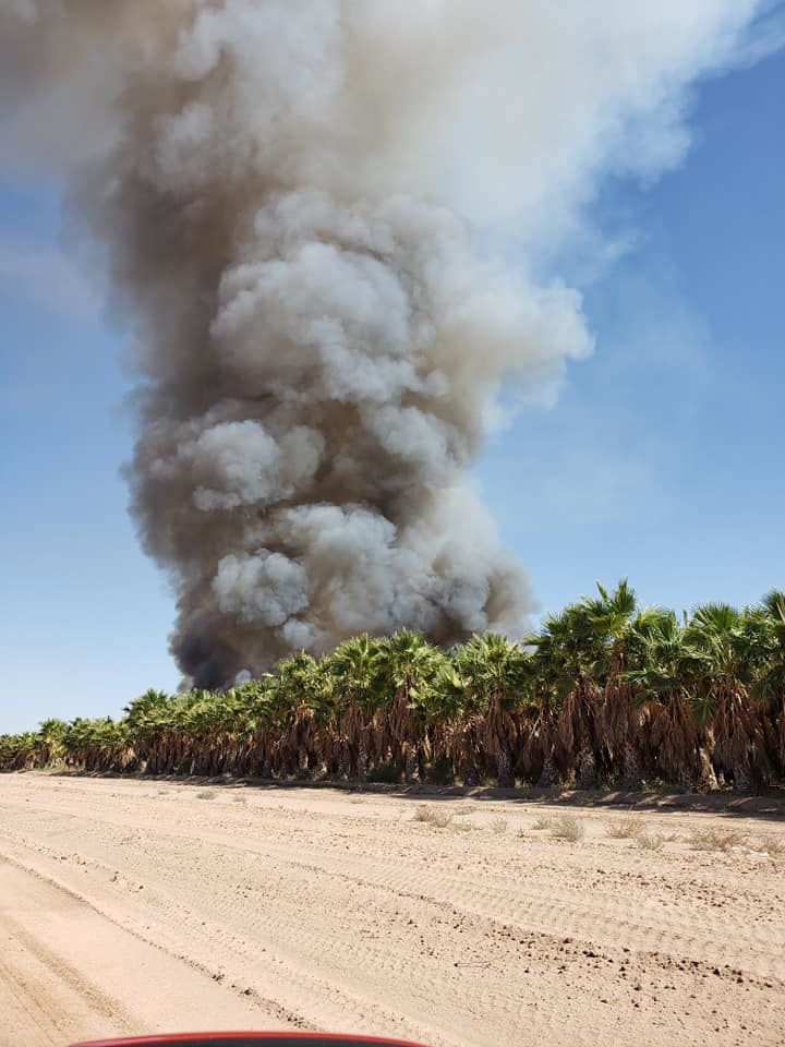 Worker Stolen safe found near Robson Ranch palm tree farm fire News