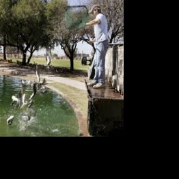 Catfish Rodeo | Area News | pinalcentral.com