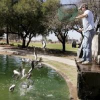 Catfish Rodeo | Area News | pinalcentral.com