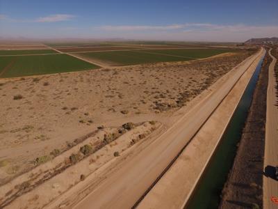 What Colorado River cuts means for Arizona agriculture