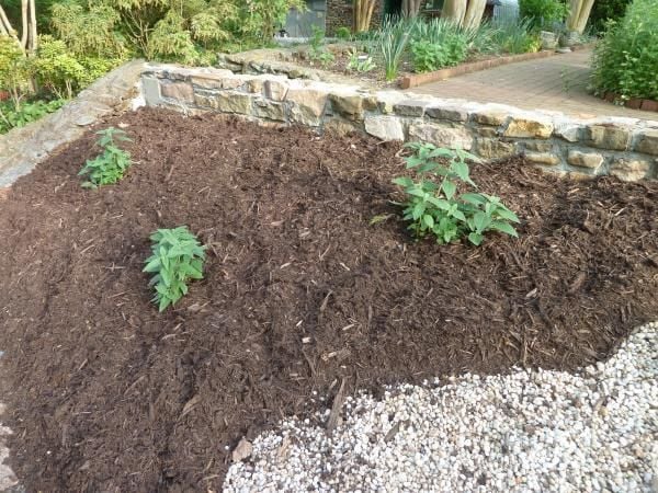 Gibson Understanding Soil Health Crucial For Gardeners Home And
