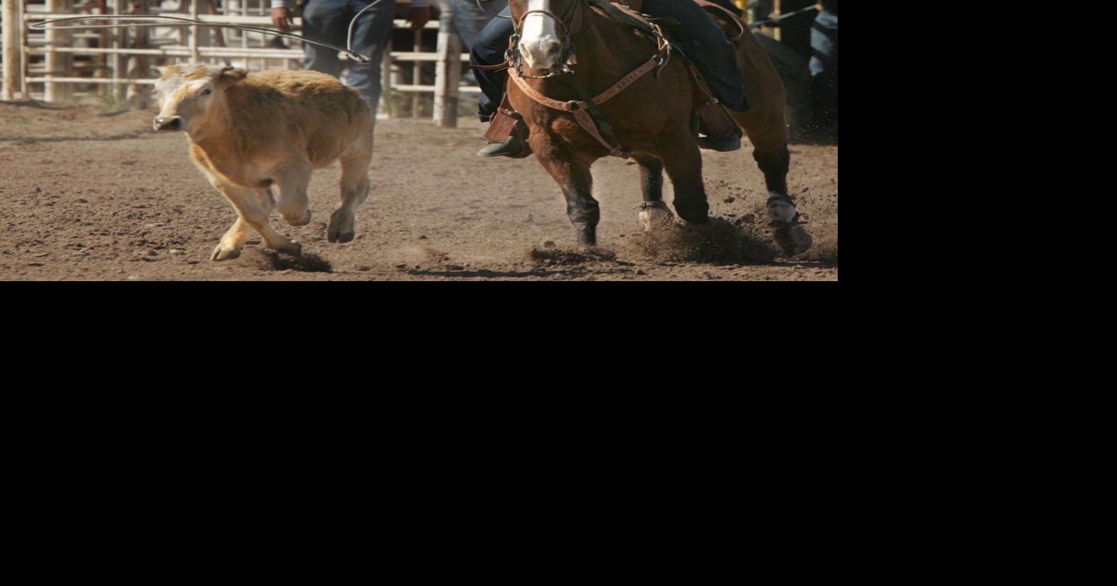 CAC rodeo team hosting event in Casa Grande | Casa Grande Area News ...