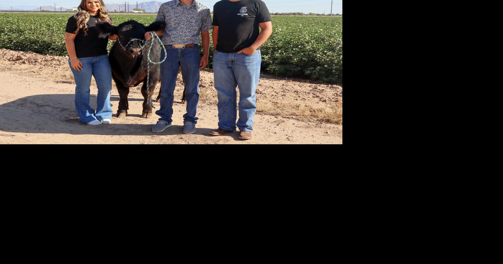Casa Grande FFA program teaching seniors vital skills | Casa Grande ...